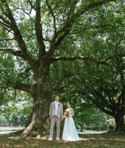 庄内緑地公園で洋装ウェディングフォト　大きな木の下で手を繋ぐ新郎新婦　ナチュラルフォトウェディング