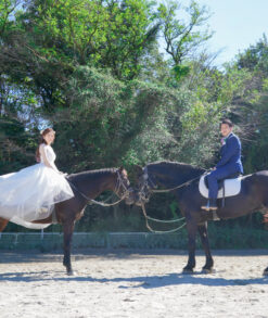 洋装前撮り　ウェディングドレスで馬に乗ってウェディングフォト　愛知県森林公園　photo by Koe