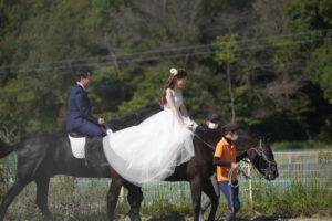 洋装前撮り　ウェディングドレスで馬に乗ってウェディングフォト　愛知県森林公園　photo by Koe