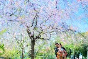 桜の庄内緑地で人気ロケーションフォトウェディング和装