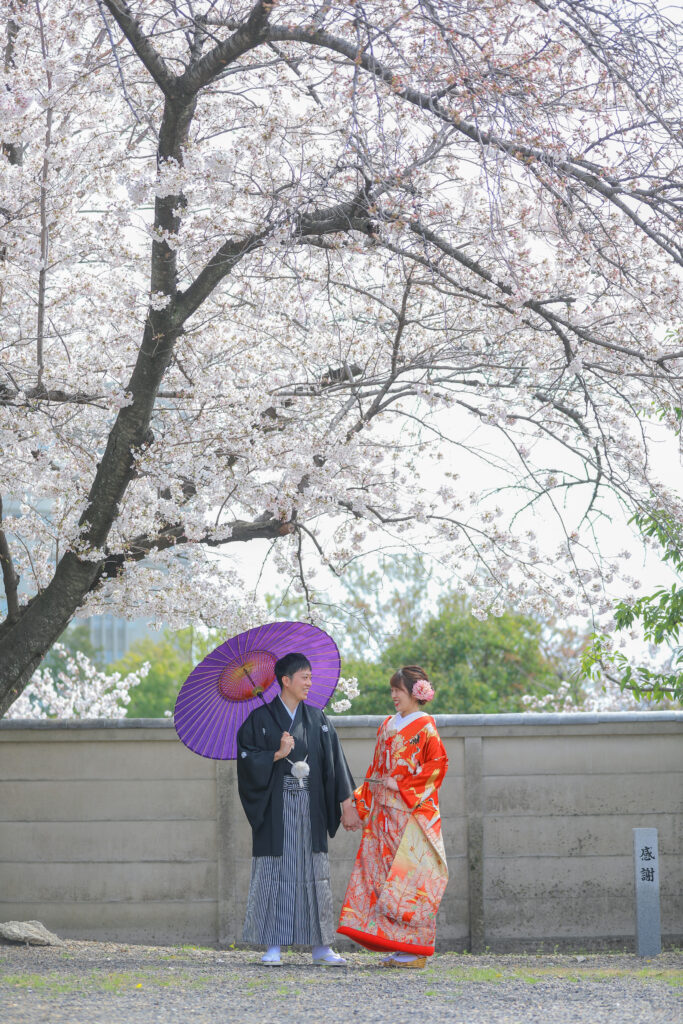 名古屋で桜和装ロケーション撮影