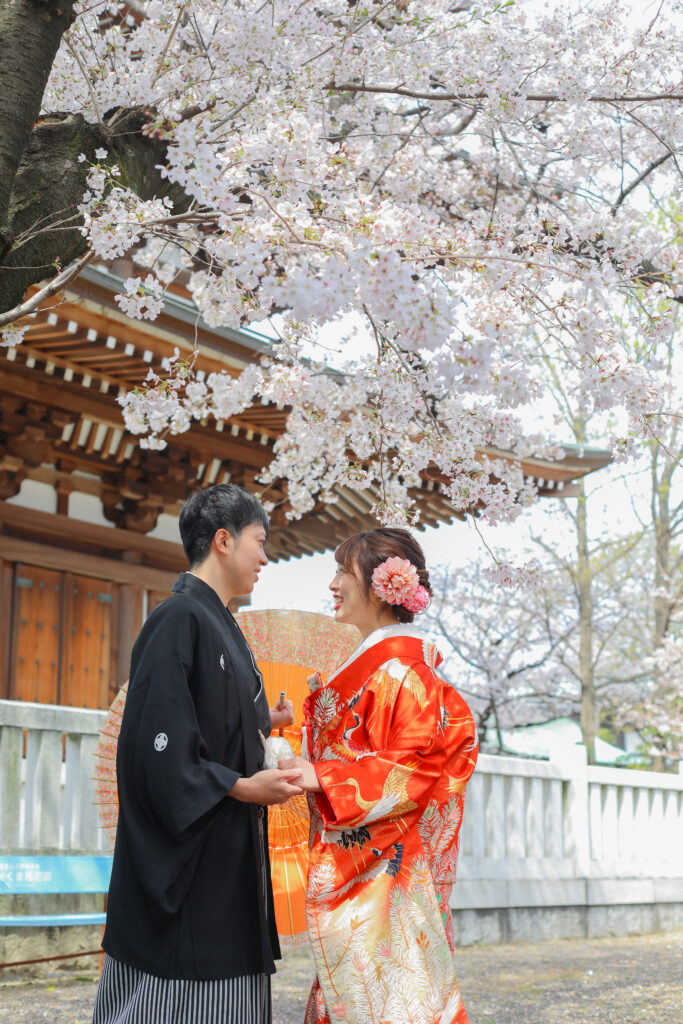 愛知の桜ロケーション撮影