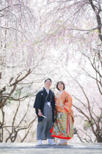 桜の東山動植物園で和装前撮りロケーション　桜を見上げる花嫁花婿