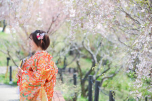 桜の東山動植物園で和装前撮りロケーション　新婦ソロショット