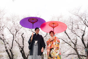 桜の和装ロケーション前撮りが名古屋で安い