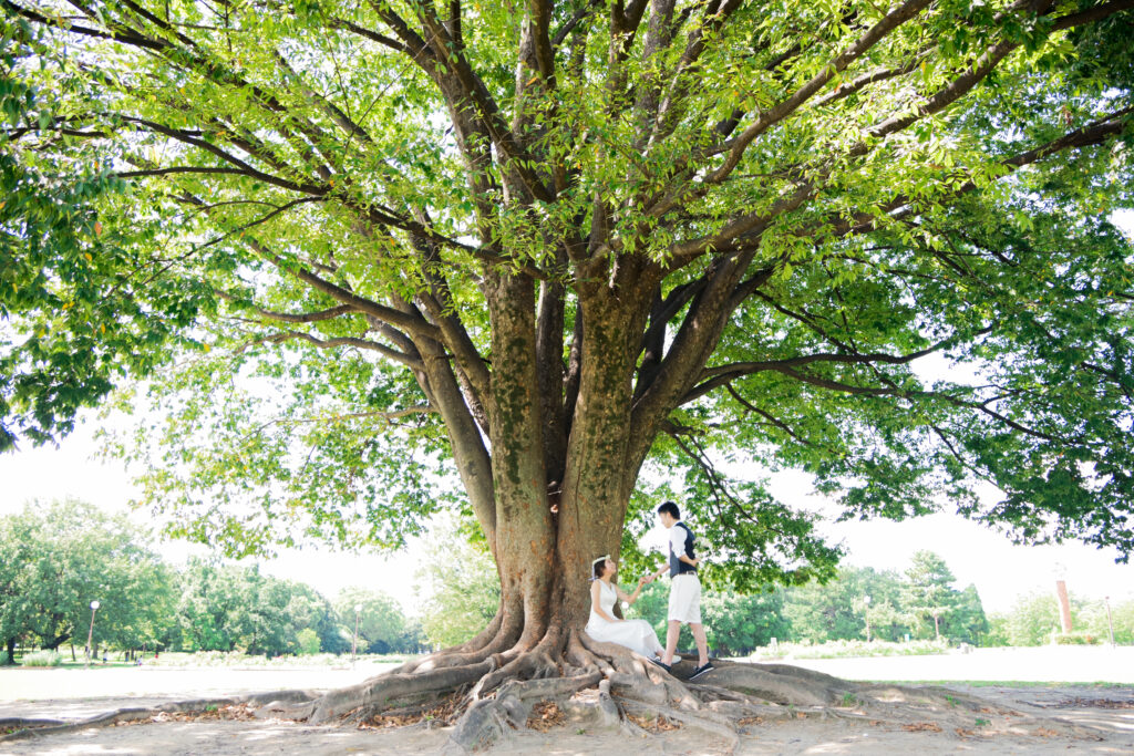 名古屋の公園でロケ撮影