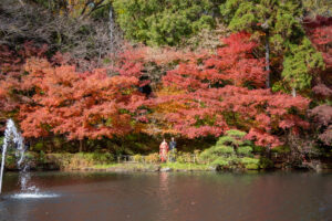 和装紅葉前撮り　ロケーションフォトウェディング　池と紅葉と新郎新婦　名古屋市東山植物園　photo by Yos