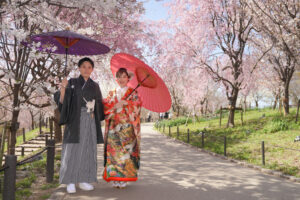 桜の東山動植物園で和装前撮りロケーション　ピンクと紫の和傘を持つ花嫁花婿
