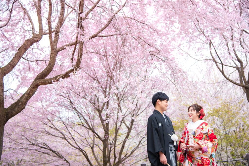 名古屋の和装桜ロケ撮影