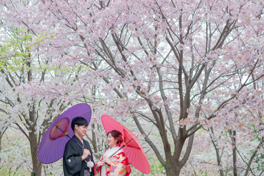 愛知県で桜前撮りロケーション