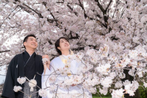 名古屋で桜ロケーションフォト　名城公園彫刻の庭　名古屋城能楽堂