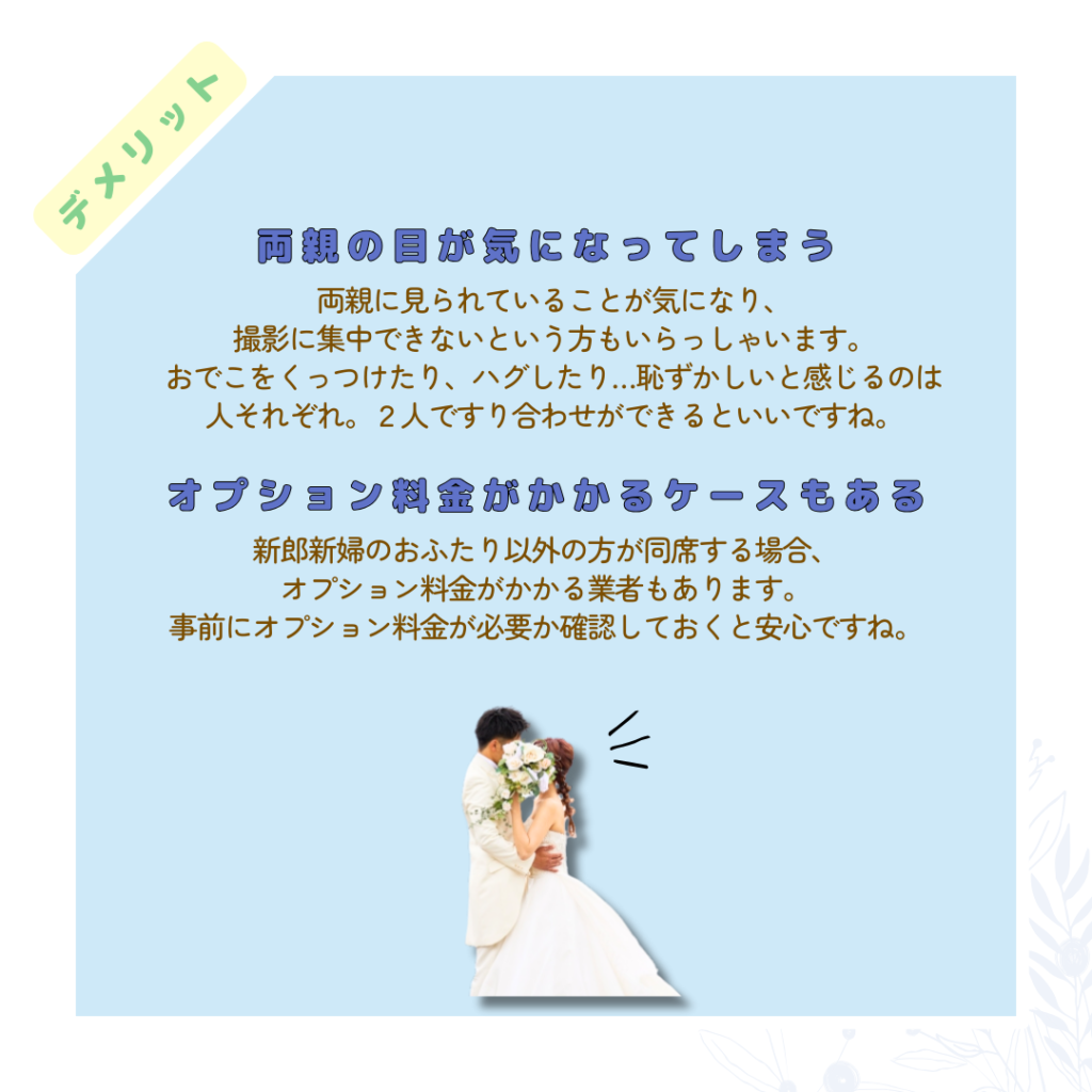 両親の目が気になってしまう、オプション料金がかかってしまうデメリットがある