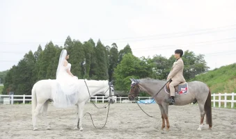 ウェディングドレスで白馬にまたがる花嫁と、栗毛の馬に乗る新郎