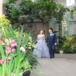 久屋大通庭園フラリエで洋装フォトウェディング 緑や花に囲まれてお散歩 名古屋のロケ地 久屋大通庭園フラリエで洋装フォトウェディング 緑や花に囲まれてお散歩 名古屋のロケ地